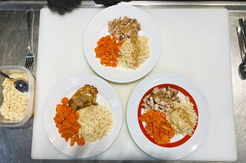 Plating Chicken, Rice and Carrots – IDDSI Levels EC7, 6 and 5