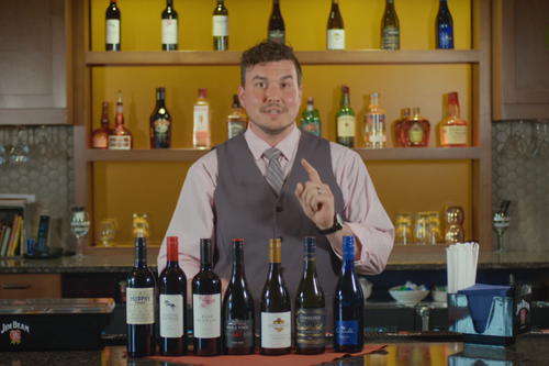 Overview of Wine Varieties