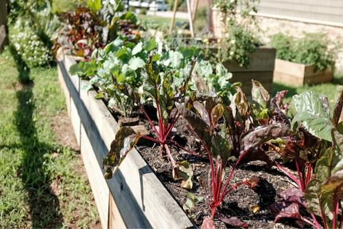 Community Garden Regulations