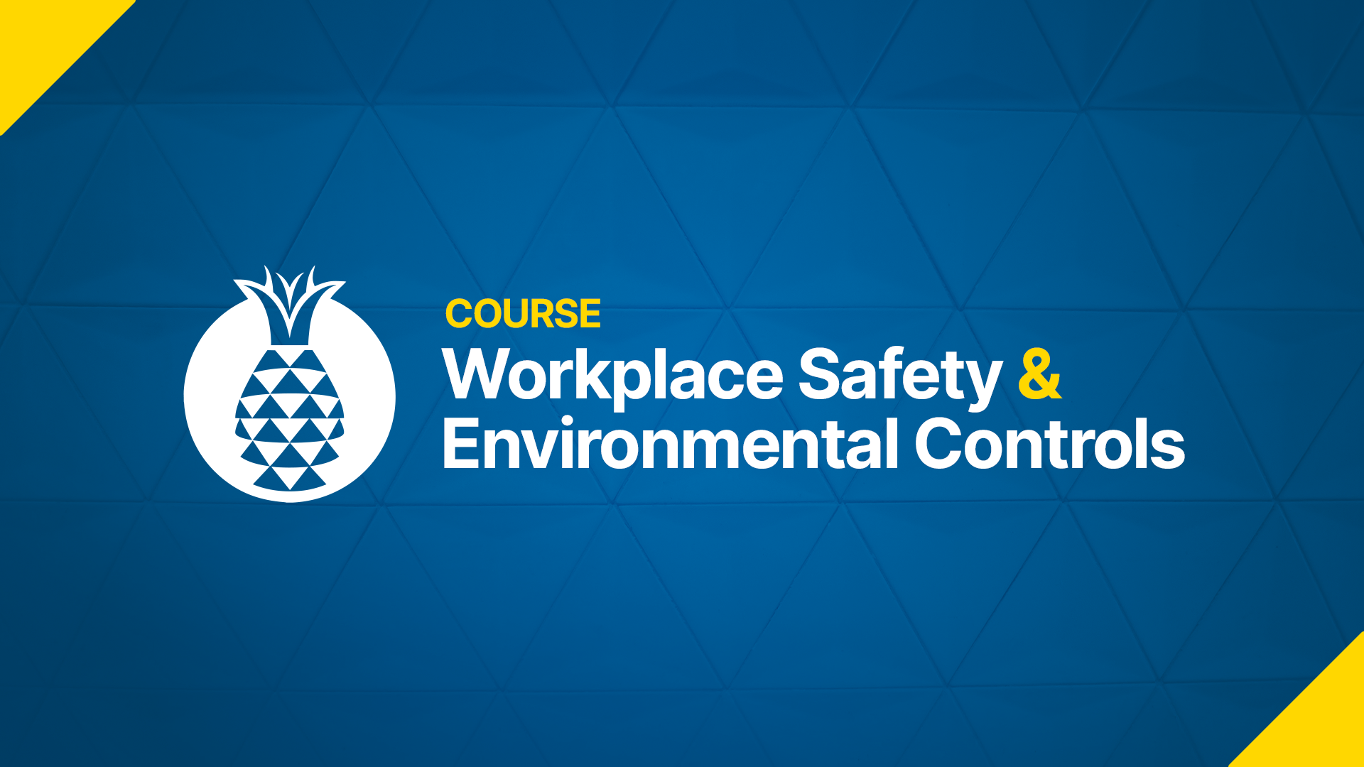 Workplace Safety & Environmental Controls course title on blue background