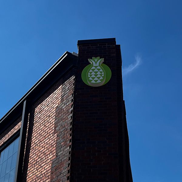 Pineapple Academy Office