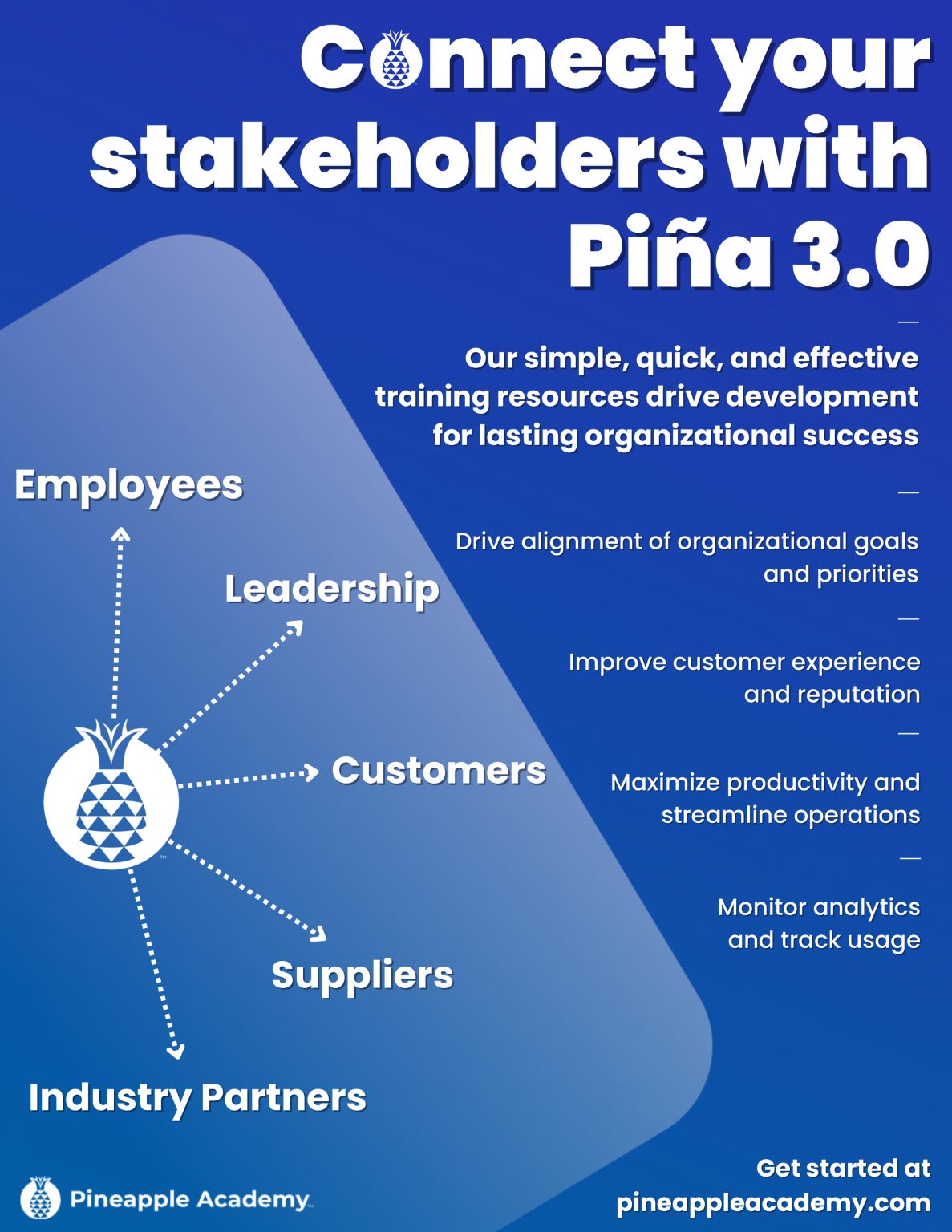 Piña 3.0 Highlight Flyer