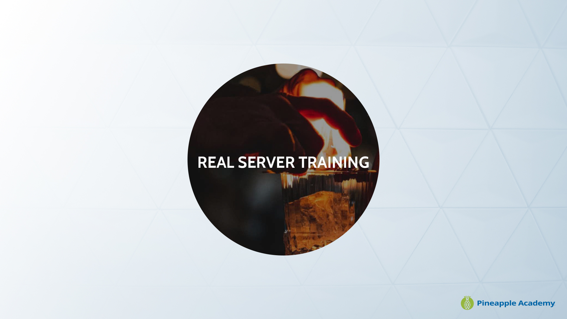 Pineapple Academy - Real Server Training, Content Creator Profile Real Server Training Logo