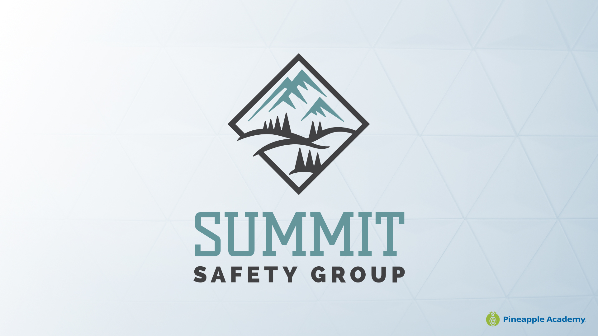 Pineapple Academy - Summit Safety Group, Content Creator Profile Summit Safety Group Logo